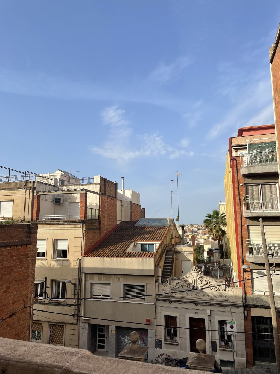 alt_text